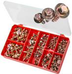 Torres Japanese Sems Hex Fender Screws AAK03