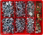 Champion Anti-Theft Screw Assortment CA570