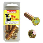 Champion Fully Threaded Set Screws and Nuts 10 x 45x 1.25 mm- BM109