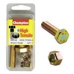 Champion Fully Threaded Set Screws and Nuts 12 x 40x 1.75 mm- BM120