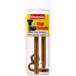 Champion Hex Set Screws and Nuts High Tensile M10 x 100 mm Grade 8.8 BM99